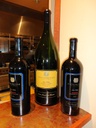 Lesser Poland Wine Tasting – Vineyard Tr — 2