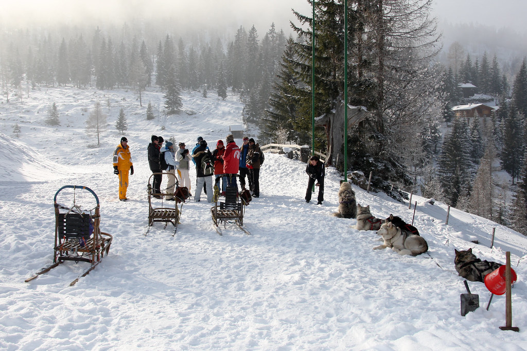 Dog Sledding – Husky Safari in the Tatra — 2