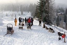 Dog Sledding – Husky Safari in the Tatra — 2