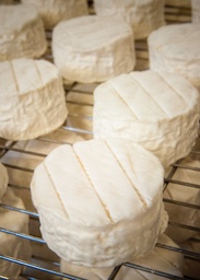 Bryndza Podhalańska PDO – Traditional Sh — 2