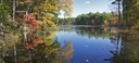 Zator Carp PDO - Live Fish from the Zato — 2