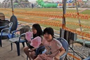 A Day at the Amusement Park for the Whol — 1