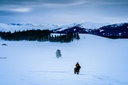 Horseback Riding through the Tatra Valleys