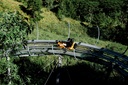 Alpine Coaster Ride "Kolorowa" - Kościelisko