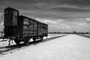 Ganztagesausflug zur Gedenkstätte Auschwitz-Birkenau ab Krakau