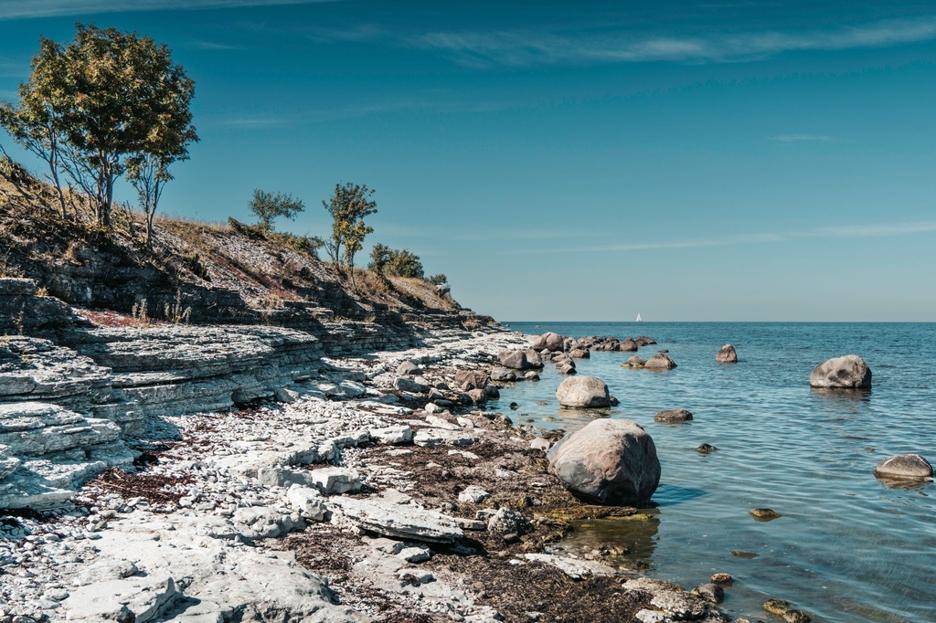 Baltic Coast Amber Foraging & Gdansk Old Town Walk